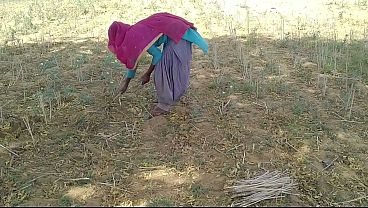 Watch beautiful blowjob Teen Video